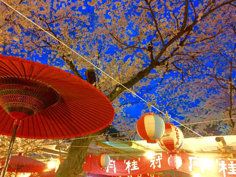 平野神社で花見