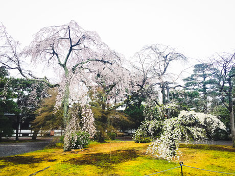 京都御所