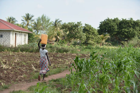 femme sol ravagé forêt africaine