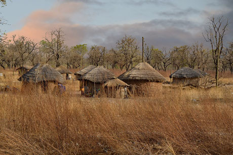 housing and bush fires: cause of African deforestation