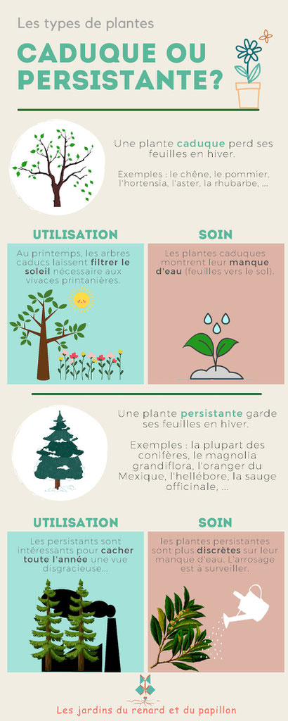Différences entre plantes caduques et persistantes