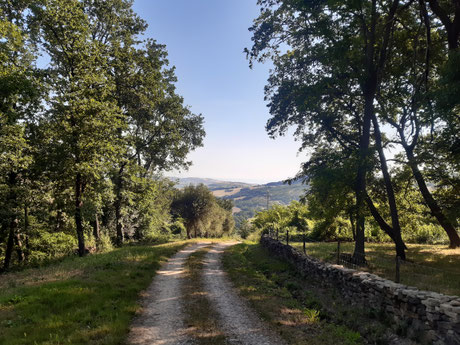 access to the paradise