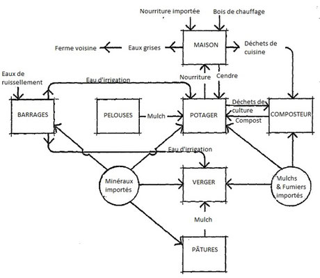 Extrait traduit de "Melliodora : a case study in cool climate permaculture" de David HOLMGREN