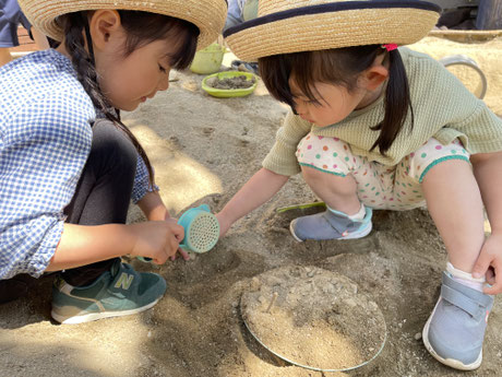 どんなケーキにしようかな？