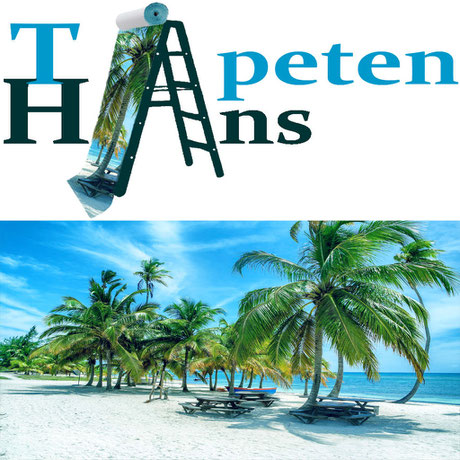 App Tapetenhans