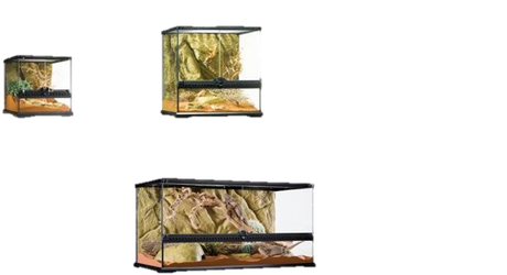 1 Instala y cuida el tanque (también llamado terrario). Los camaleones jóvenes pueden crecer bastante, por eso asegúrate de tener el espacio suficiente para una criatura sensacional, tal vez del ¡doble del tamaño del qué compraste!Mantén el tanque lejos de las ventanas cuando sea invierno y esté frío afuera.