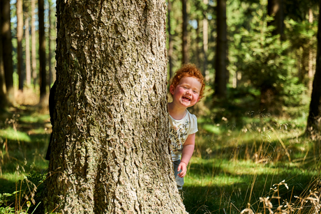 Kind im Wald