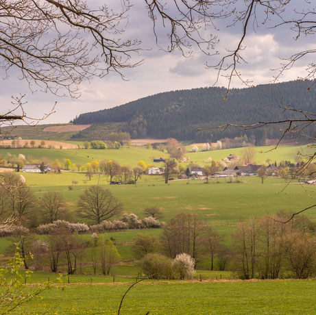 sauerland, wandern, wanderung, arpe, schmallenberger, rundwanderung, infos, tipps, lauschpohl, aussicht, wenrntrop