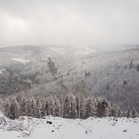 arnsberg, wanderung, rundwanderung, aussichtsroute, waldroute, winter, aussicht