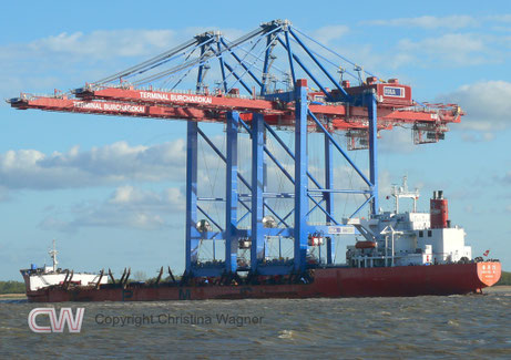 Im Sonnenlicht erstrahlt die ZHEN HUA 26 auf ihrem Weg nach Hamburg