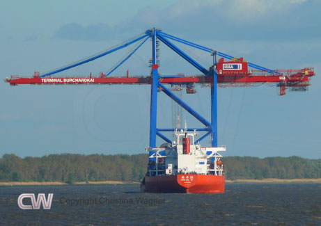 Hier erkennt man die Höhe und die Breite der Containerbrücken im Vergleich der ZHEN HUA 26.