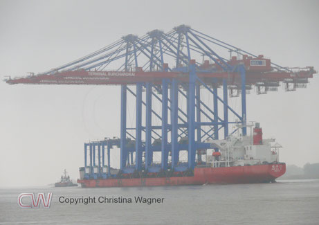 Das achterliche Bild der ZHEN HUA 27 verdeutlich die Breite der Containerbrücken. Vor dem Schiff der sie begleitende Schlepper BUGSIER 19.