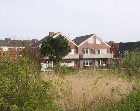 Blick vom Deich auf das Haus, in dem sich die Ferienwohnung befindet.