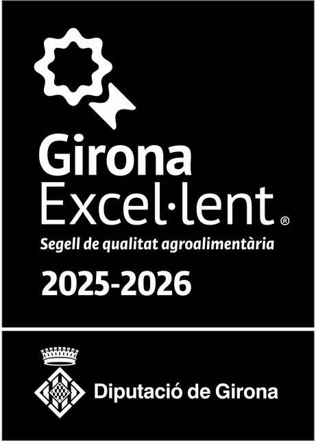 Girona excellent 2025-2026
