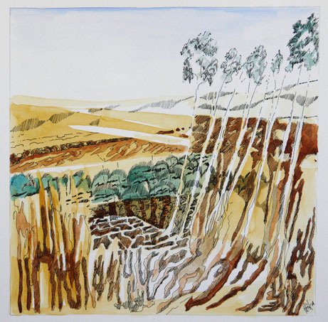 Dryness in the Alentejo - acryl with pen on paper - 25 x 25 cm 
