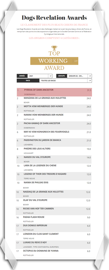 Pyrrha Of Dark Ancestor - Classement du groupe 2