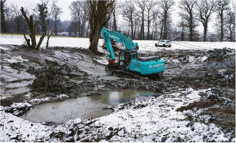 Baggerarbeiten Liberatorweiher (Bild: Clemens Gnädinger)