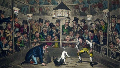 Tom and Jerry sporting their Blunt on the phenomenon monkey Jacco Macacco at the Westminster Pit (1821) by George and Isaac Robert Cruikshank