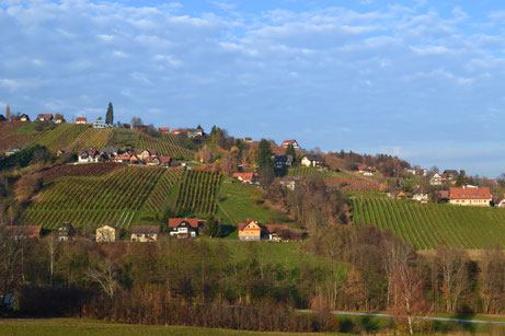 Schilcherweinberge in St. Stefan ob Stainz