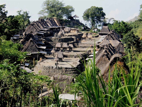 Traditionele dorpje Bena op de voet van de Inerie vulkaan op Flores in Indonesie