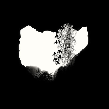 Photo de Catherine VALENTINI issue de la série L'Amour et ses symboles