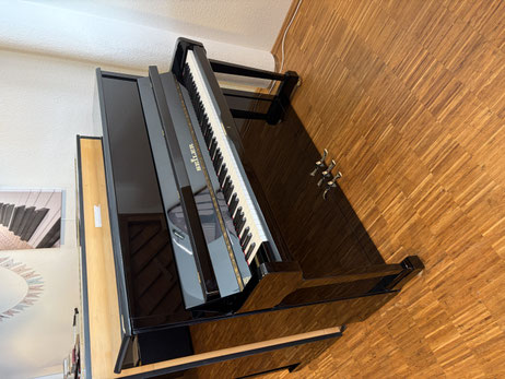 gebr. Seiler Klavier Mod. 116 Jubilee - Piano Dubbel 