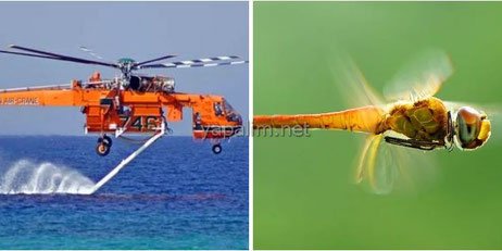 Yusufçuk Böceği ve Helikopter