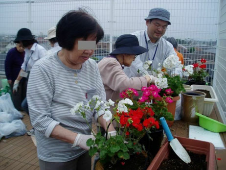 東京都練馬区の高齢者施設にある屋上庭園で入居者を対象に園芸療法（花の寄せ植え）を実施している様子です。園芸療法はリハビリの一環としても人気のアクティビティです。