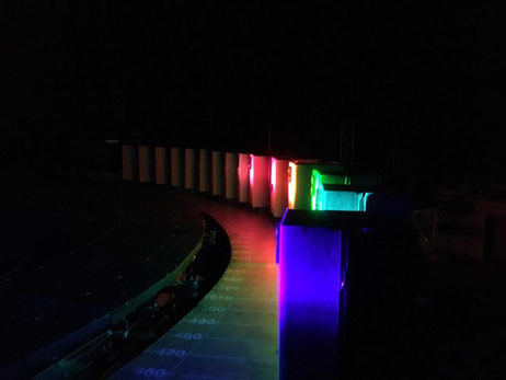 大型スペクトログラフを用いた光照射実験