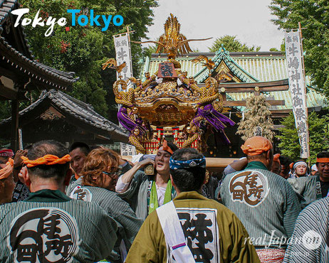 牛嶋神社祭礼,2020年,令和2年9月,開催中止, 本所四丁目神輿渡御