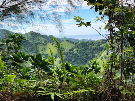 Hiking Raemaru Rarotonga, Raemaru views