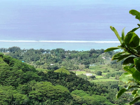 Hiking Raemaru mountain, Rarotonga hiking,