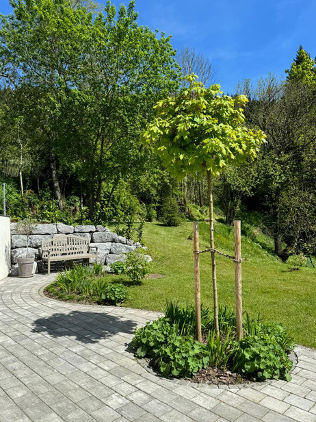 Wohlfühloase, Terrassenbau, Pflasterarbeiten, Natursteinmauern, Natursteinverlegung, Rollrasen, Galabau Sigel