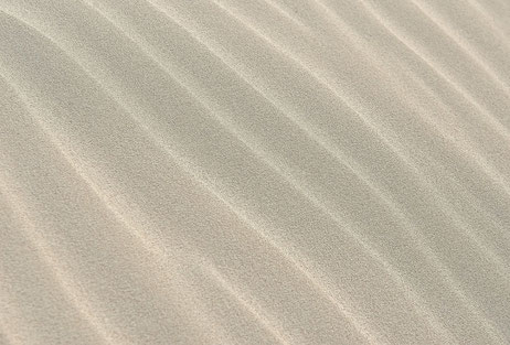 Best Sand For Landscaping 1