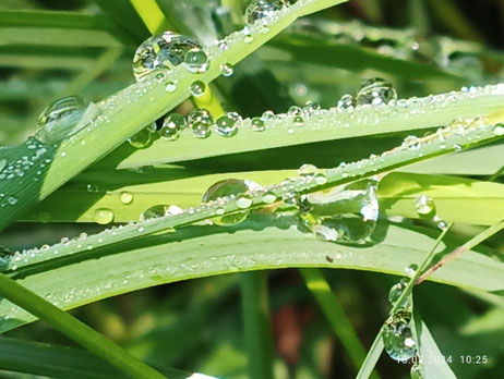 Yvonne Bühlmann, Kunsttherapie, Seminare Luzern