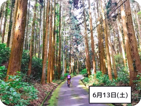 淡路島　レンタサイクル　クロスバイク
