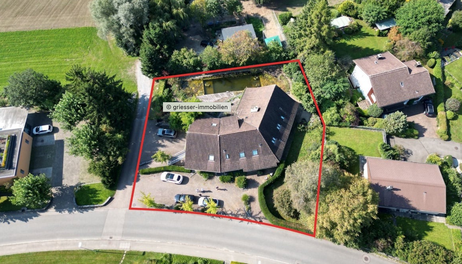 (Screenshot griesser-immobilien.ch)