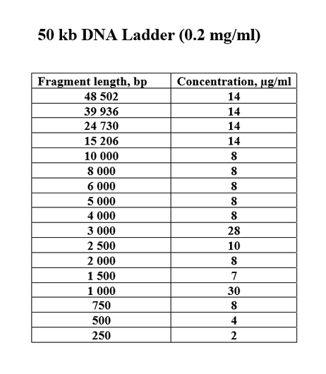 DNA Ladder 50 kbp