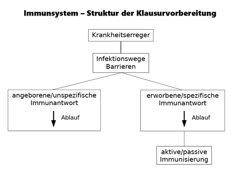 Immunsystem - Struktur der Klausurvorbereitung - Krankheitserreger - Infektionswege - Barrieren - Immunantwort - Immunisierung -www.learn-study-work.org