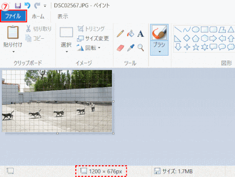 jdg00_18:縮小された画像