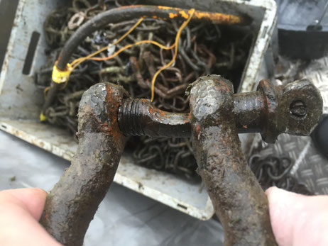 Abgenutzter Schäkel (Verbindungsglied zwischen Bojen-Stein und Kette) vor der professionellen Erneuerung.