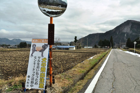 この看板を見かけたらサルや犬が近くにいるかもしれません