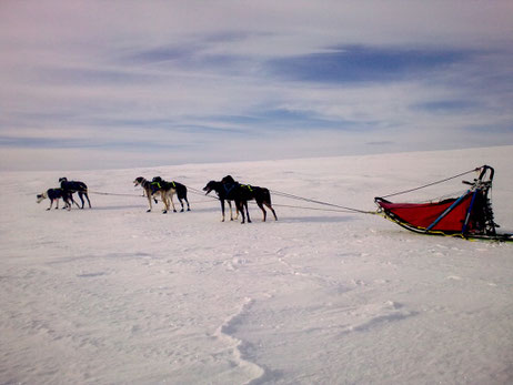 Helags Husky : In der Weite