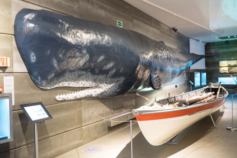 Bild: Das Walmuseum