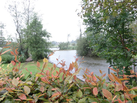 (Bild: buebikernews)