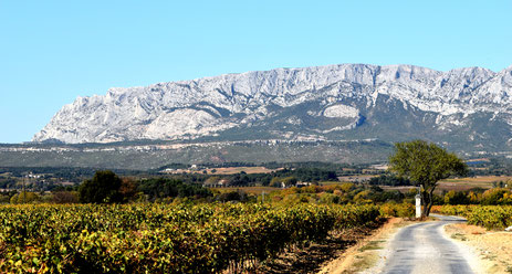 Mountain of Sainte Victoire (Provence)