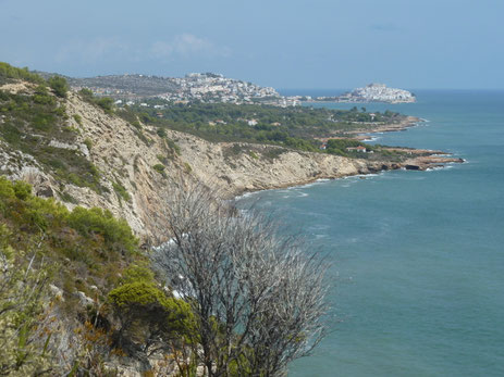 la côte sauvage