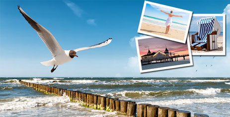 Ferienwohnung Usedom Heringsdorf