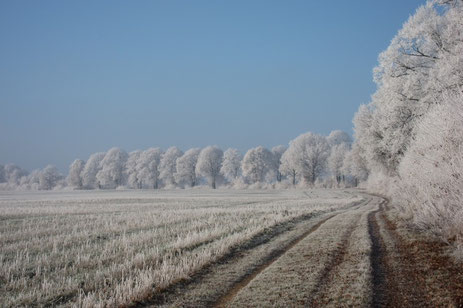Winter im Herzogtum Lauenburg