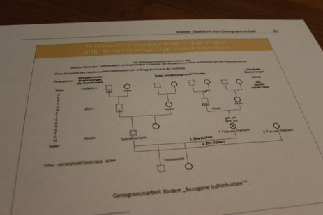 Dr. med. Thomas Heuecke - FamilienBiographisch fundierte Genogrammarbeit